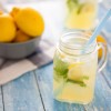 Lisy na citrusy Gastroback 41150