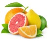 Lis na citrusy Gastroback 40174